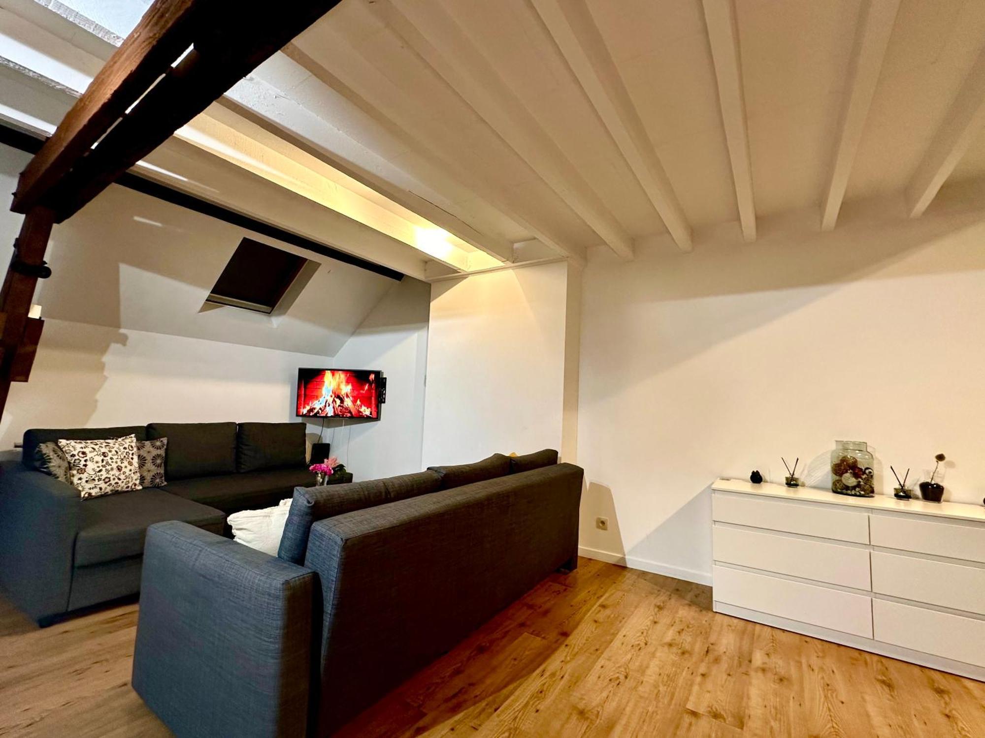 Luxury Suites Centrum By Rikas Hotels Антверпен Екстериор снимка